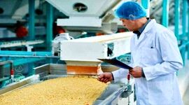 توسعه صنایع غذایی با ورود نوآوری و فناوری
