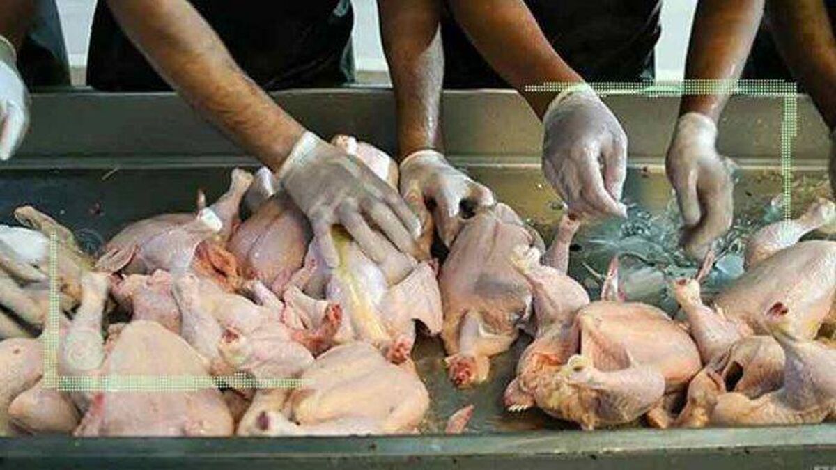 با گرانفروشی و عرضه بالاتر از نرخ مصوب برخورد می شود