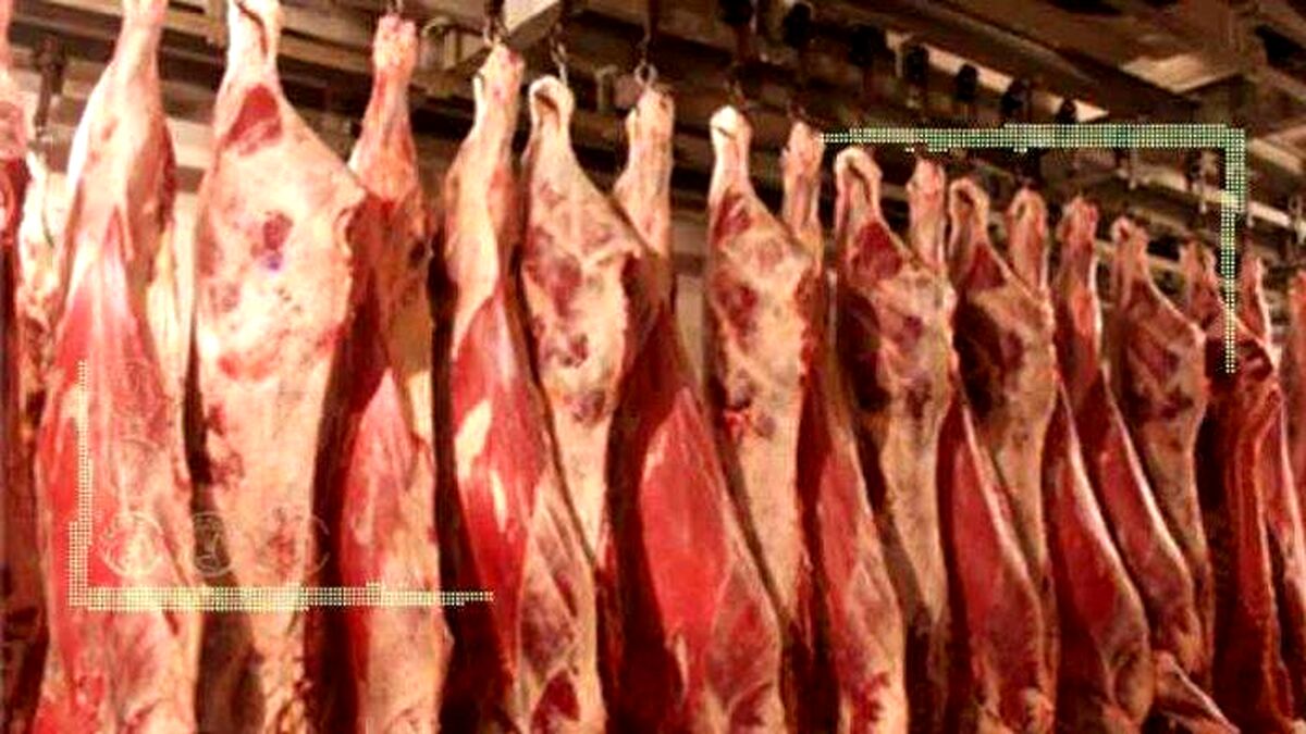 صادرات پایدار مواد پروتئینی به شرط تایید ایمنی سلامت