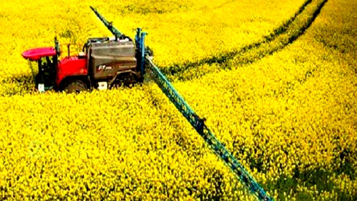 کشت فراسرزمینی مفری برای گذر از خشکسالی