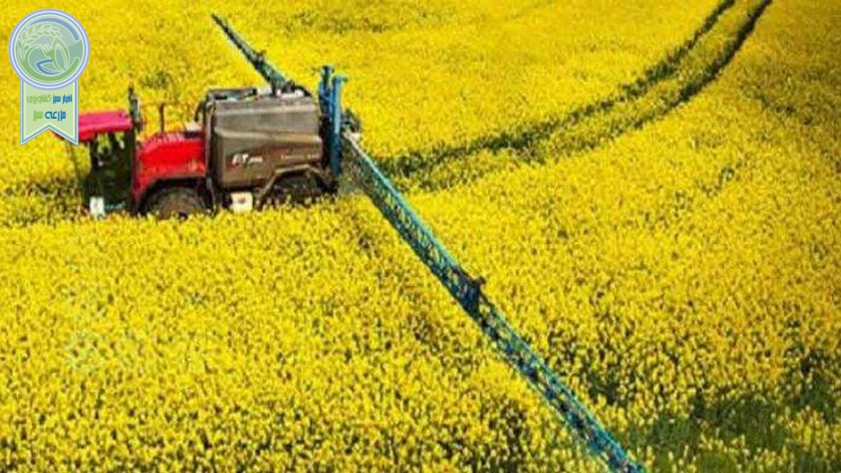 امنیت غذایی با کشت فراسرزمینی