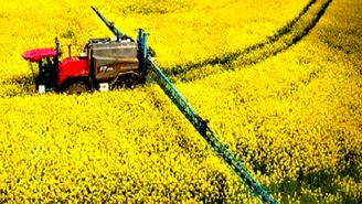 امنیت غذایی با کشت فراسرزمینی