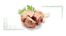 تون ماهی غذای آماده