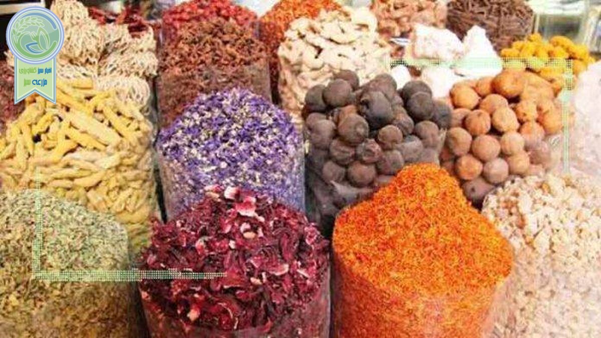 ظرفیت بهره‌برداری اقتصادی از ۵۰ گونه گیاهان دارویی