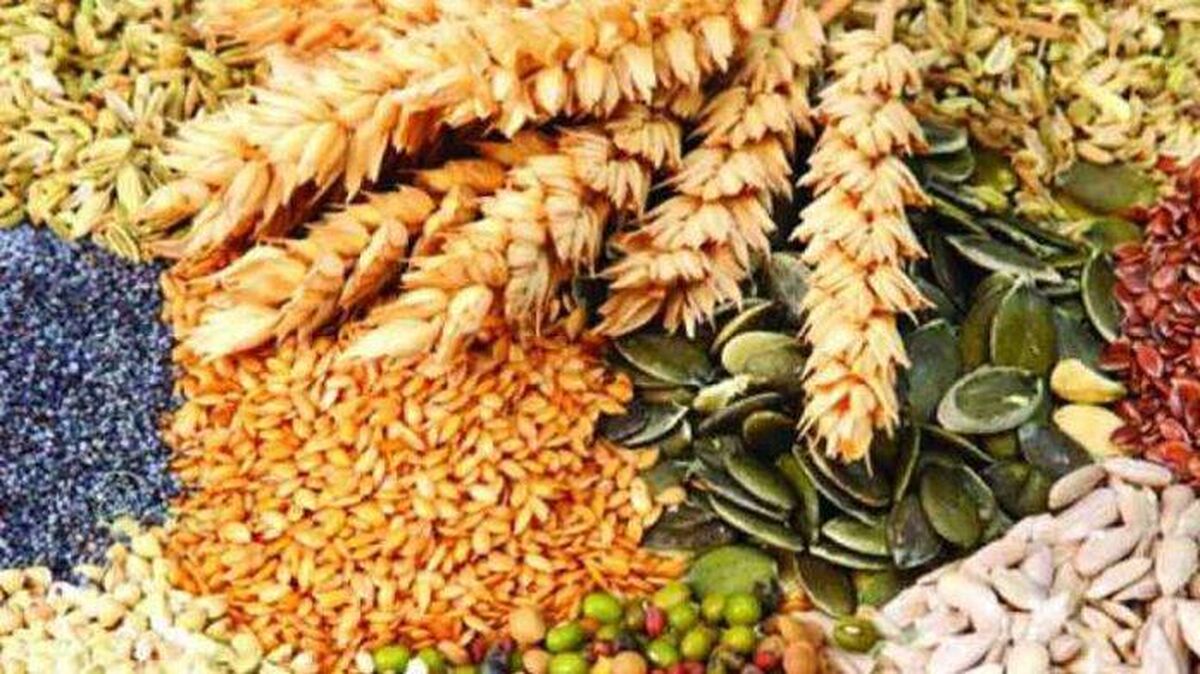 الگوی کشت، تولید با بهره‌وری بالا و جلوگیری از اسراف منابع