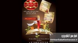 خواص درمانی روغن‌های گیاهی: کشف راز طبیعت برای سلامتی شما!+ جزئیات