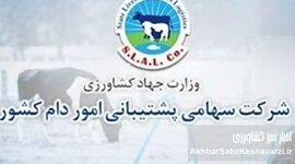 تکذیبیه رسمی شرکت پشتیبانی امور دام کشور: شفافیت کامل در برگزاری مناقصه شماره م/۱۴۰۴/۶۲