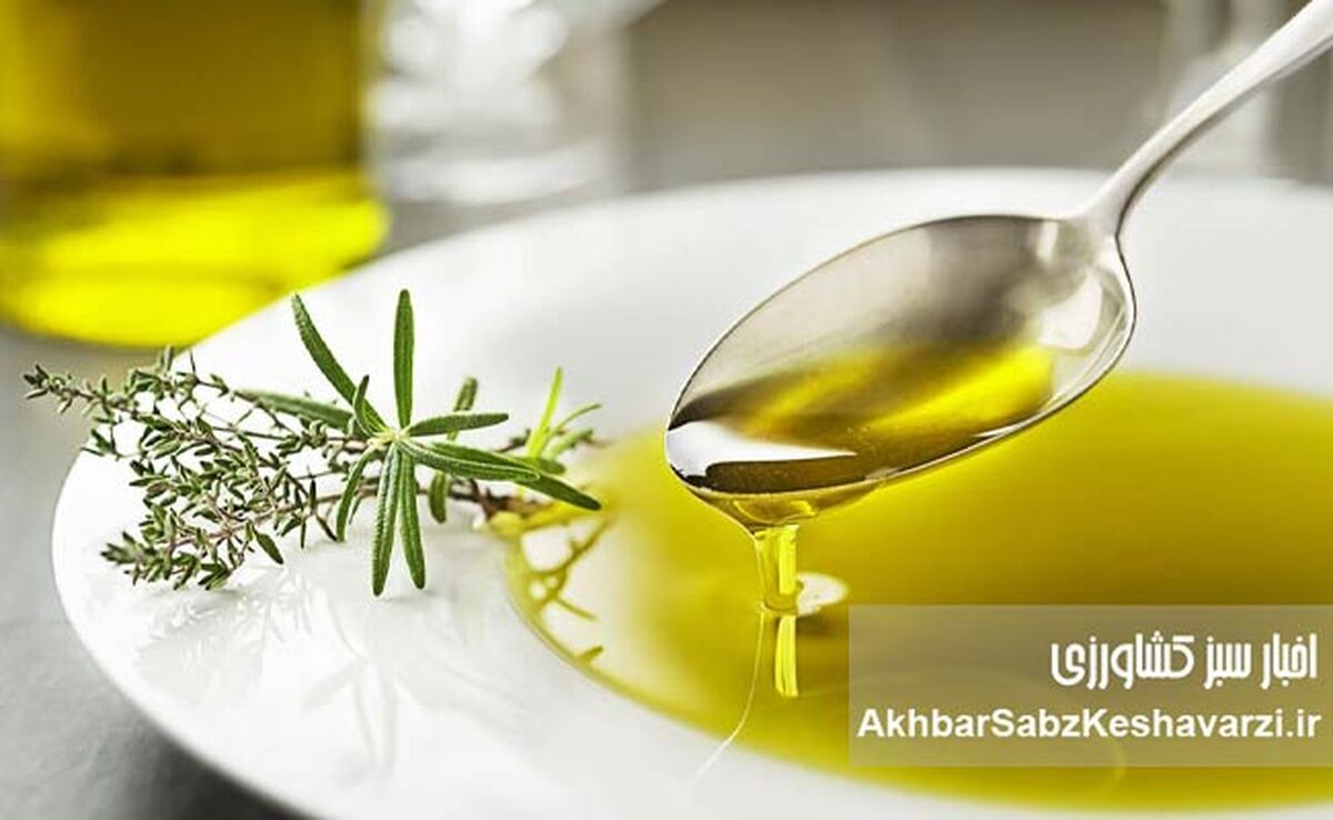 طـرز تهیه روغن زیتون خانگی با ماندگاری بالا+جزئیات