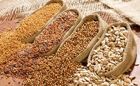 قیمت نهاده های دامی و محصولات کشاورزی ۹ اسفند ۱۴۰۳+ جدول