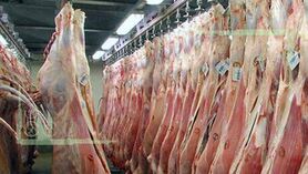 تکذیب عرضه گوشت ماده و بز به‌جای گوسفند نر در مغازه‌ها