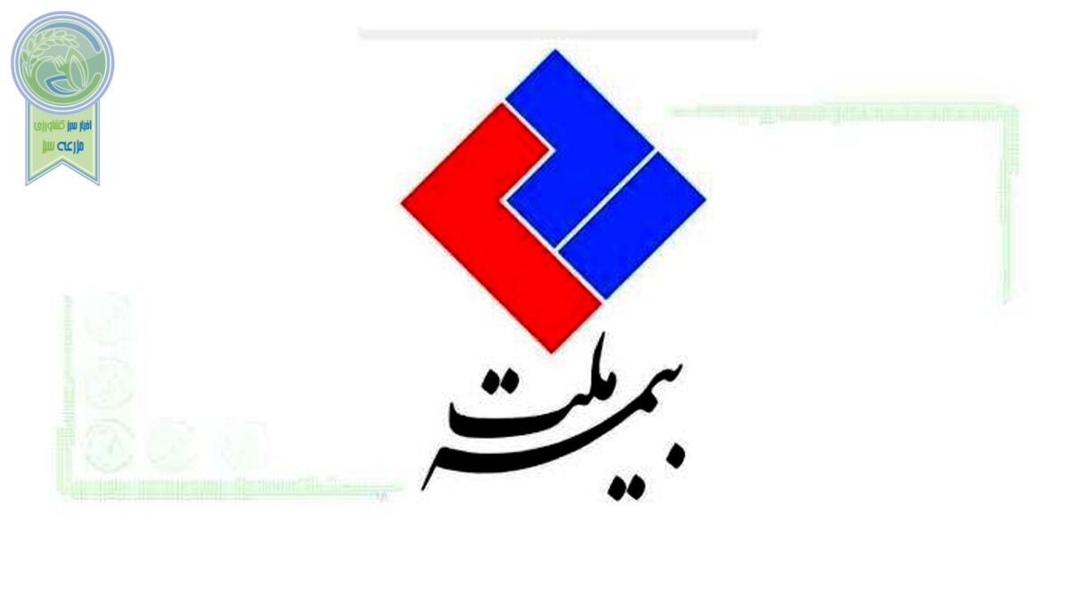 شناسایی درآمد قابل توجه صدور بیمه‌نامه در بیمه ملت
