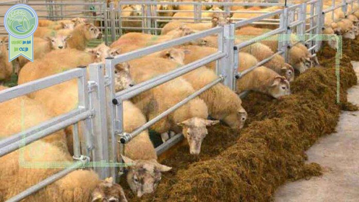حمایت از دامداران با تهاتر دام با نهاده