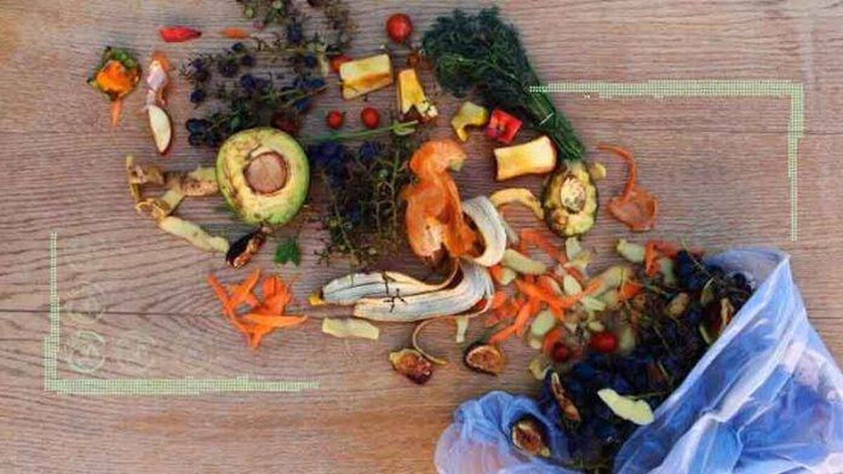 زباله‌های جهانی با ارزش