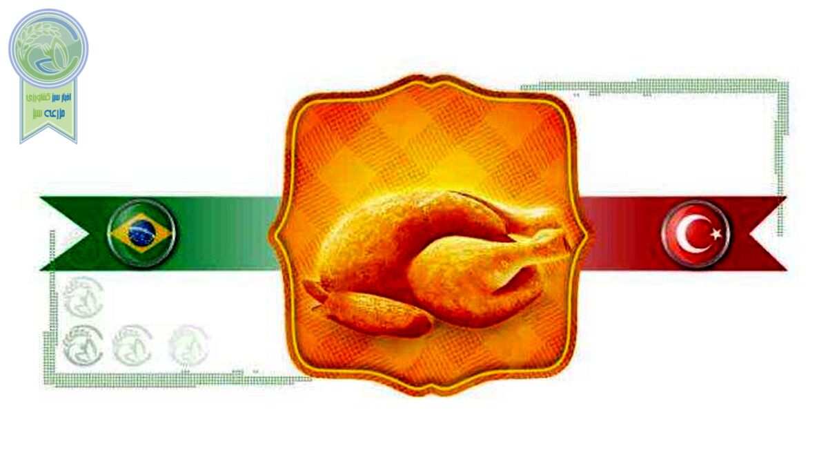 مرغ ترکیه و برزیل غازه؟!