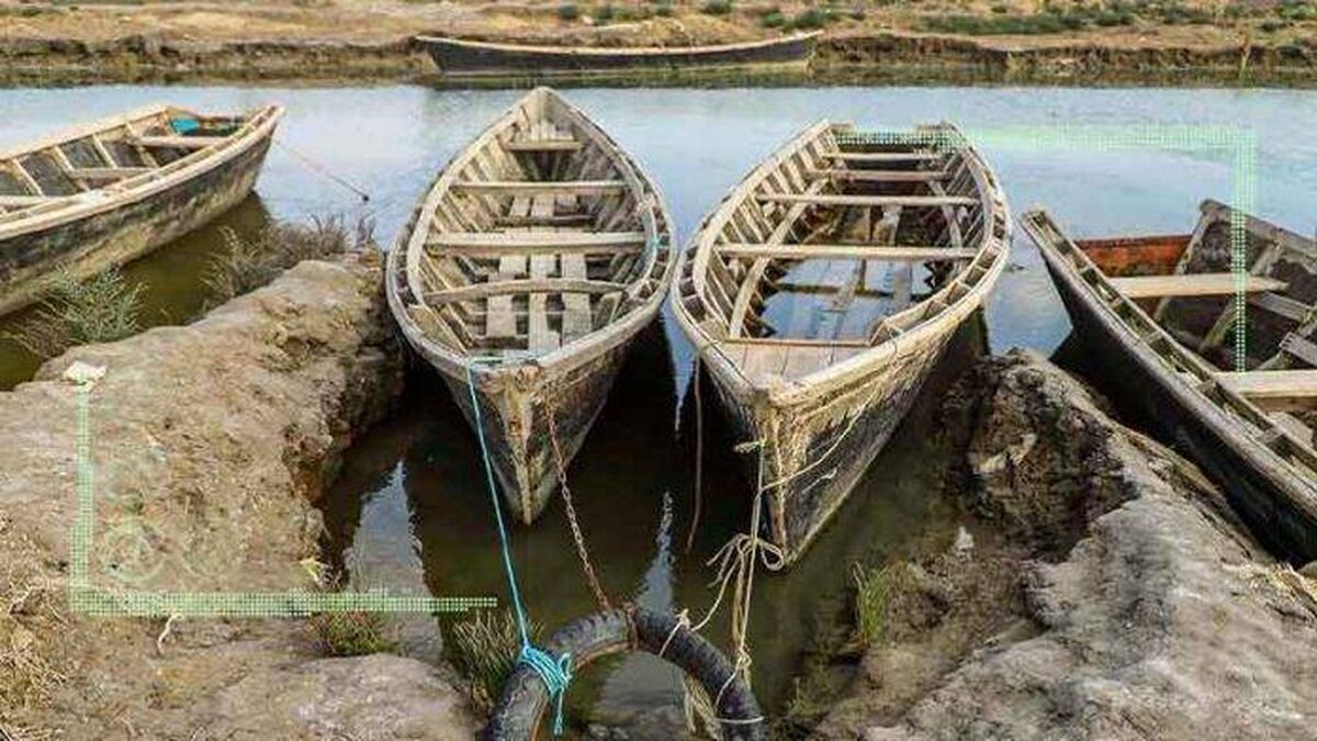 خلیج گرگان در مسیر بازگشت به حیات