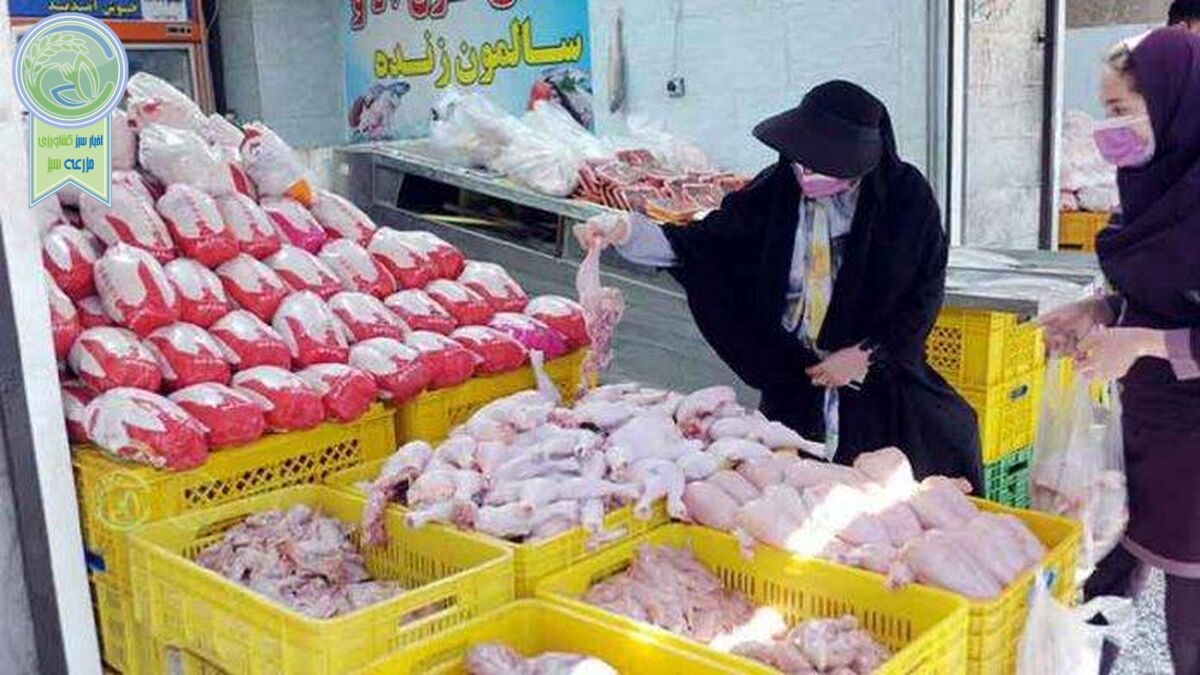 درخواست اتحادیه مرغداران از مردم؛ مرغ ذخیره کنید