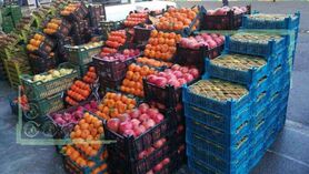 اجرای طرح توزیع میوه شب عید توجیه ندارد