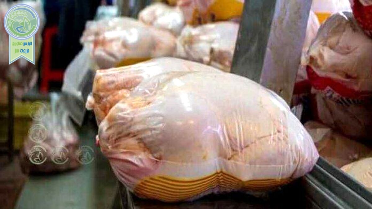 طنز تلخ واردات مرغ