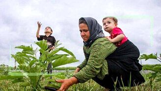 جزئیات طرح اشتغال روستایی