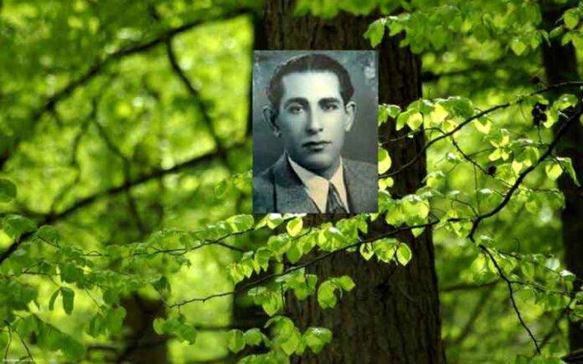 یادی از کریم ساعی؛ بنیانگذار علم جنگل در ایران
