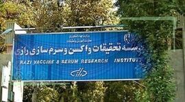 حمایت موسسه رازی از شرکت‌های دانش بنیان حوزه بیولوژیک