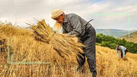 ترغیب کشاورزان به سپرده‌گذاری با افزایش سود بانکی