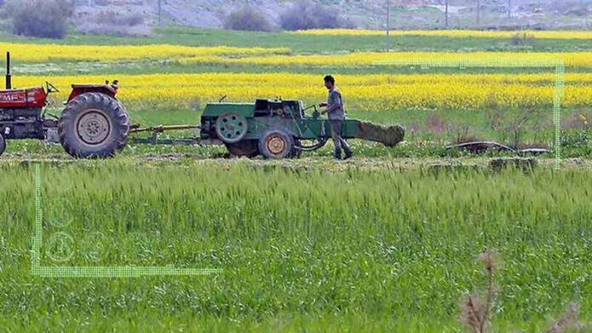 الگوی کشت راهی برای پایداری تولید و درآمد کشاورزان