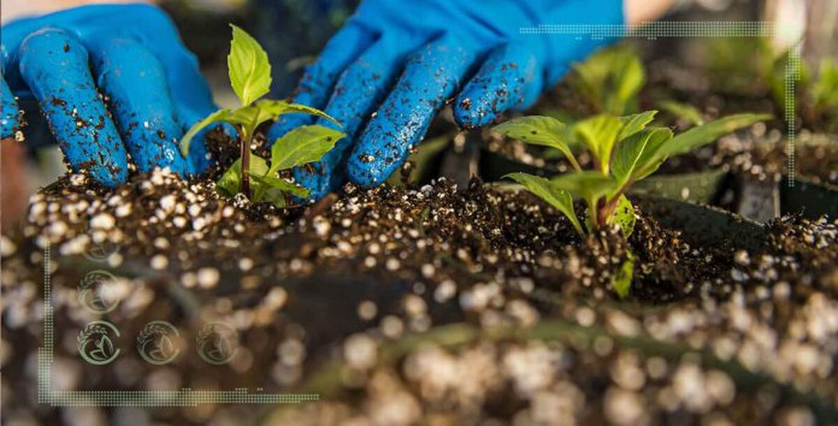 شمارش معکوس_ 3 روز تا نمایشگاه نهاده‌های کشاورزی