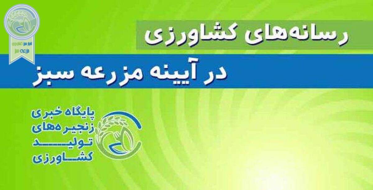 نامعادله قیمت کالاهای اساسی و ارز ۲۸۵ هزار ریالی