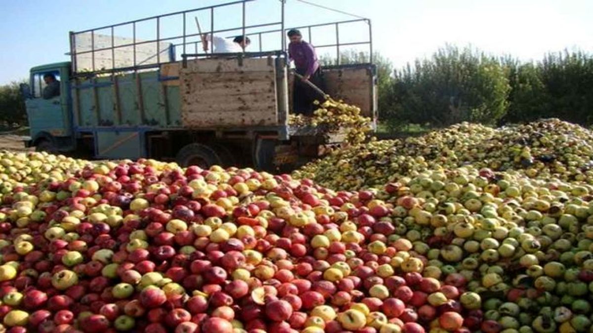 فرصت ۲ ماهه برای صادرات ۴۵۰ هزار تن سیب آذربایجان