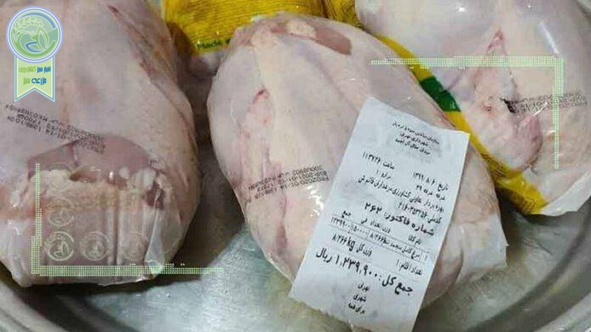 مرغ ارزان شد/ قیمت جدید در میادین و بازار