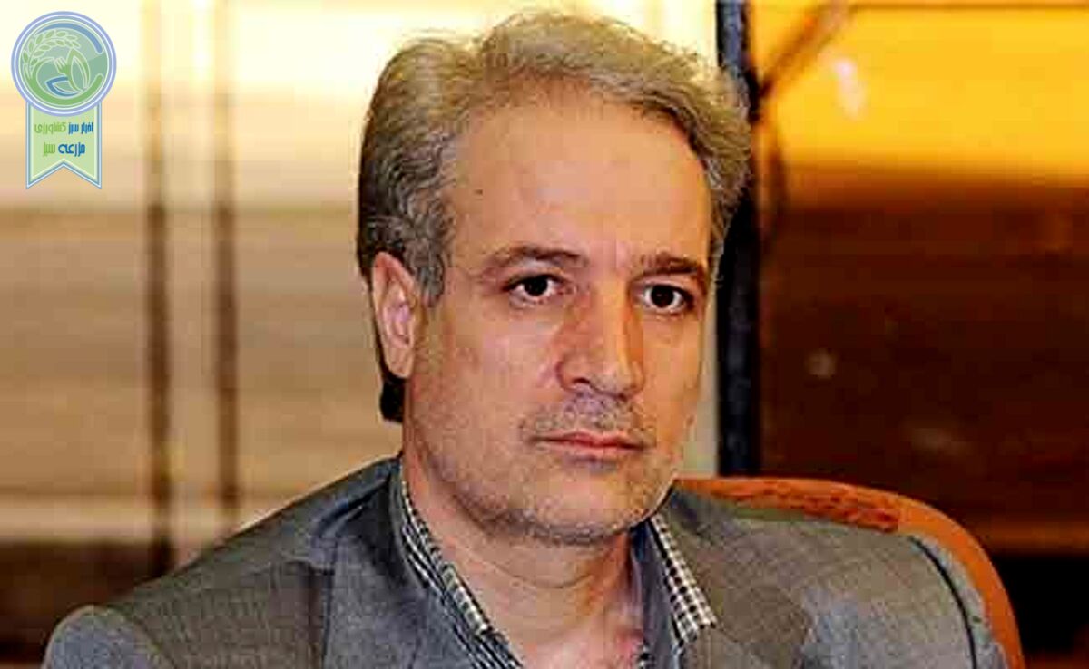 صادرات 100 هزار تن تخم‌مرغ به دیگر کشورها