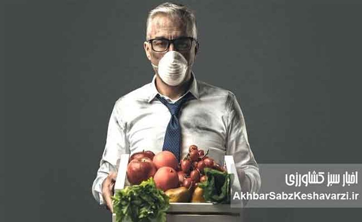 پناه به تغذیه از شر دود؛ رژیم محافظتی بدن در روزهای آلوده شهر