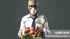 پناه به تغذیه از شر دود؛ رژیم محافظتی بدن در روزهای آلوده شهر