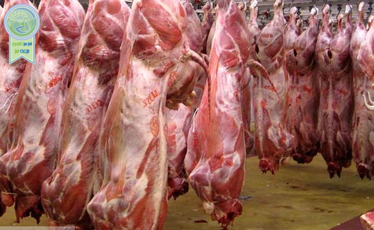 قیمت روز گوشت قرمز در ۲۷ فروردین ۱۴۰۳+ جدول

