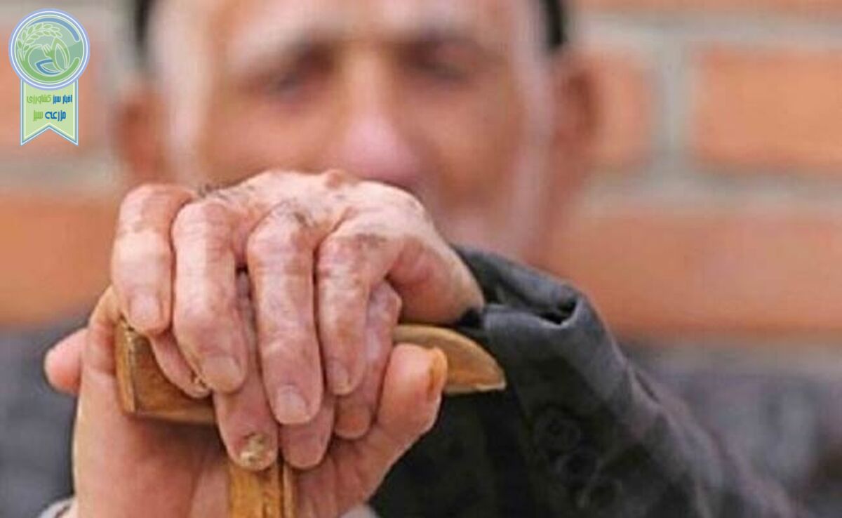 ایران سال ۱۴۳۰ سالخورده‌ترین کشور جهان خواهد بود

