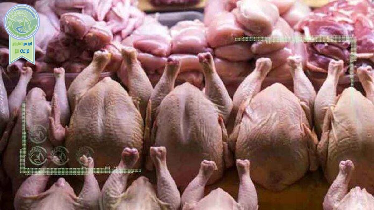 قیمت انواع مرغ در ۹ بهمن ۱۴۰۱