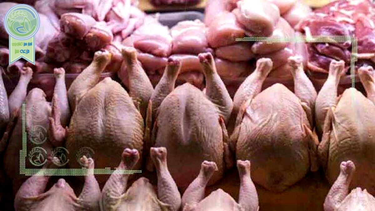 قیمت انواع مرغ در ۹ بهمن ۱۴۰۱