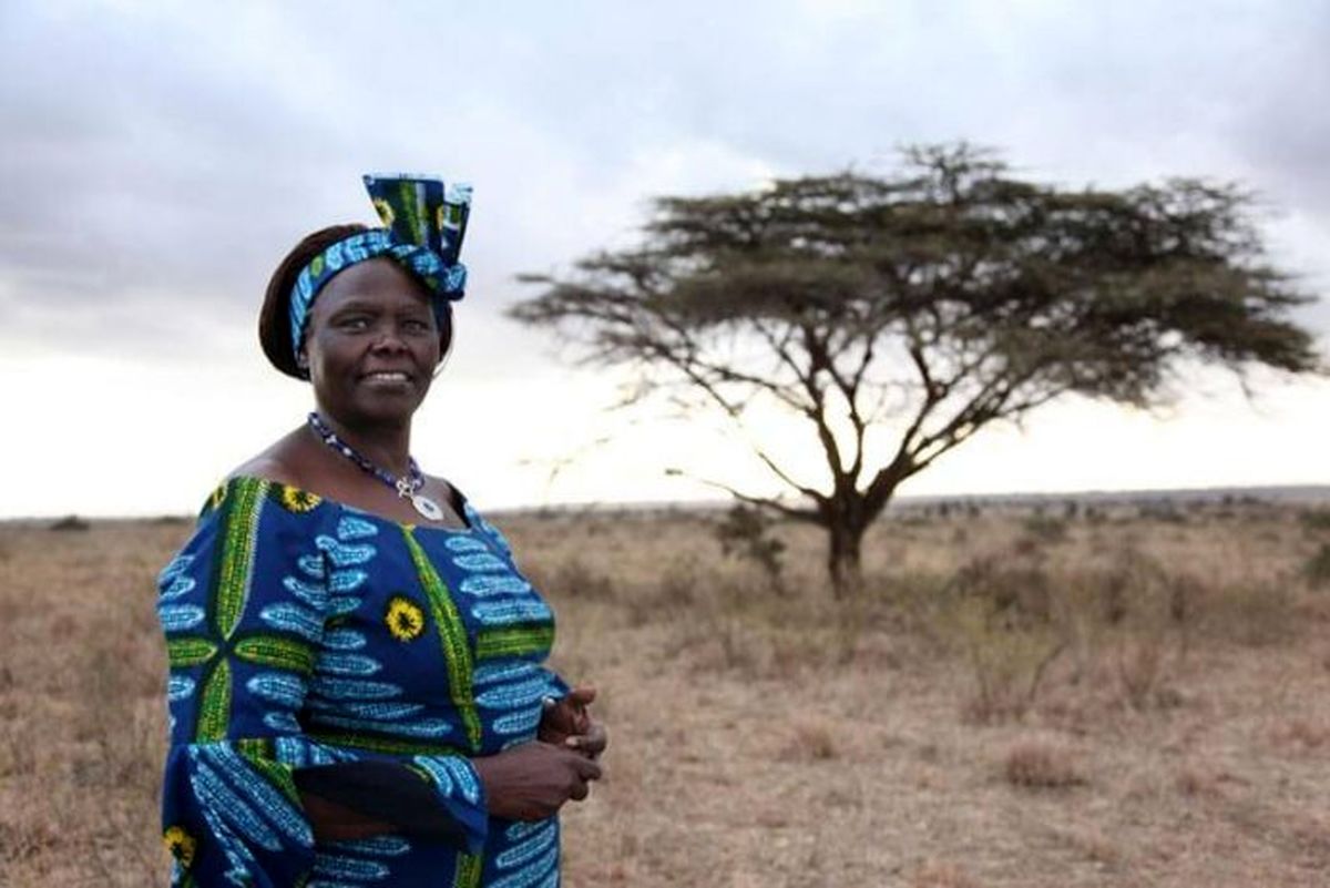 بنیانگذار کمربند سبز در آفریقا و اولین زن آفریقایی برنده جایزه صلح نوبل