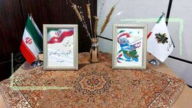 مشتریان وفادار صندوق بیمه کشاورزی و گام‌های ملی