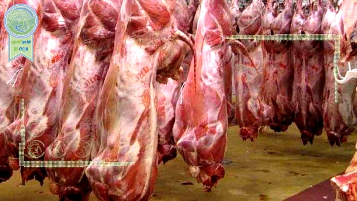 قیمت روز گوشت قرمز در ۲۵ بهمن ۱۴۰۱