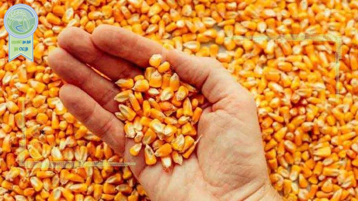 قیمت انواع نهاده های دامی و کشاورزی ۲۷ بهمن ۱۴۰۱