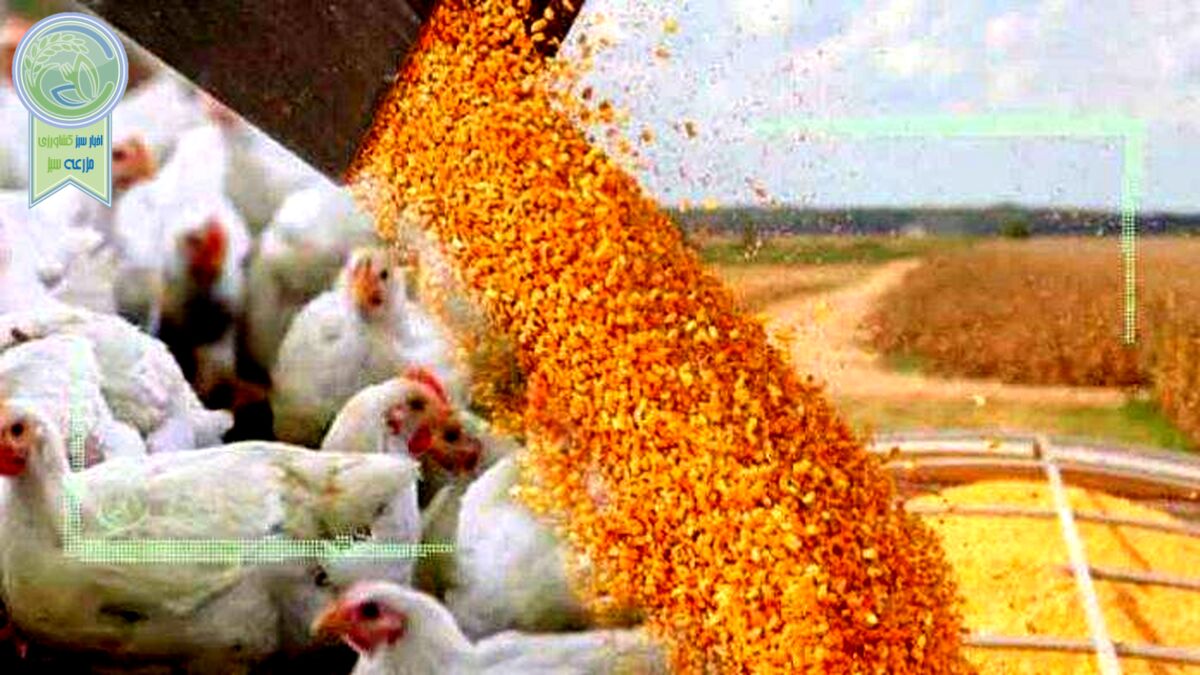 قیمت انواع نهاده های دامی و کشاورزی ۲۶ بهمن ۱۴۰۱