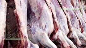 قیمت منطقی هر کیلو لاشه گوسفندی ۳۴۰ هزار تومان است