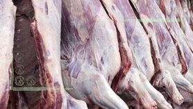 قیمت منطقی هر کیلو لاشه گوسفندی ۳۴۰ هزار تومان است