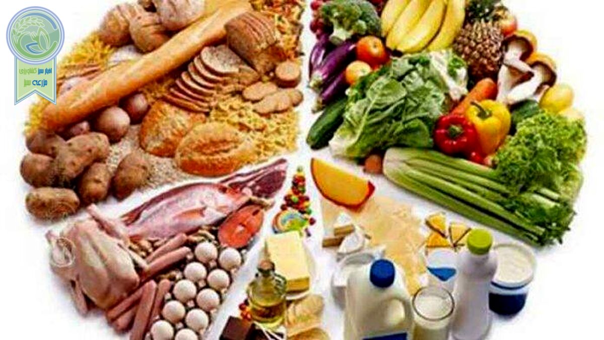 ساداتی‌نژاد و رئیسی چگونه امنیت غذایی ایجاد می‌کنند؟
