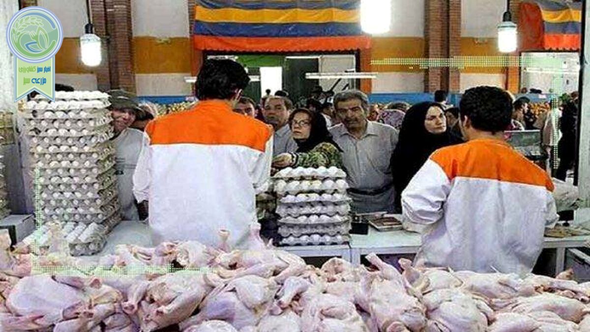 قیمت مصوب مرغ دوام نخواهد داشت