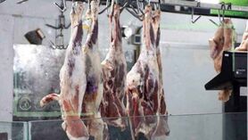 قیمت روز گوشت قرمز در ۱۵ اسفند ۱۴۰۱