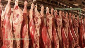 قیمت فعلی گوشت منطقی است