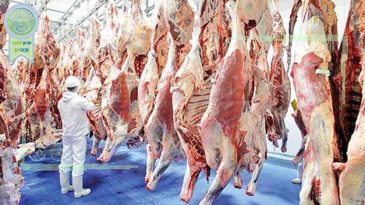 قیمت روز گوشت قرمز در ۲۷ اسفند ۱۴۰۱